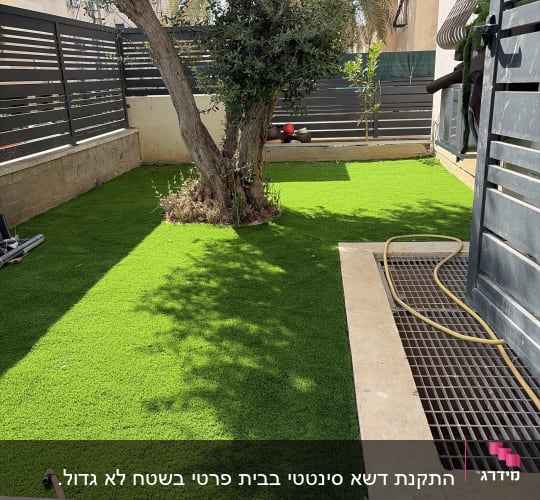 התקנת דשא סינטטי בגינת בית פרטי סביב עץ זית